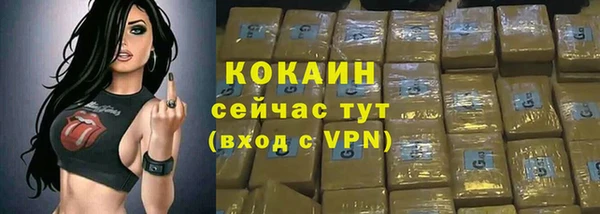 дмт Абаза