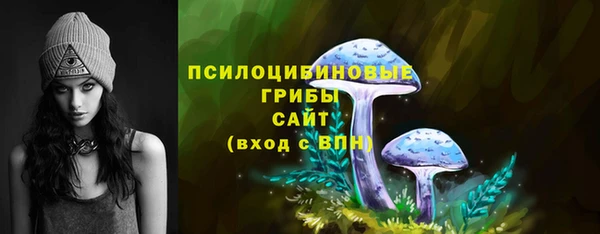 дмт Абаза
