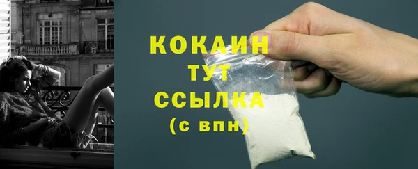 дмт Абаза