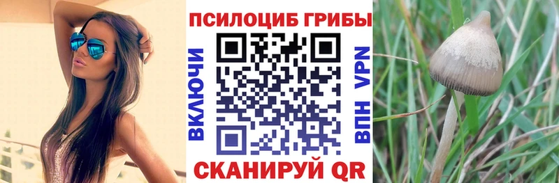 Галлюциногенные грибы мухоморы  как найти закладки  Хасавюрт 