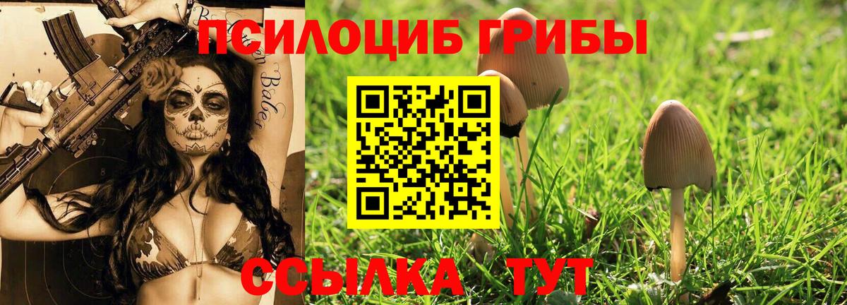 Псилоцибиновые грибы MAGIC MUSHROOMS  Вход с VPN  цена наркотик  Хасавюрт  Псилоцибиновые грибы Psilocybe 