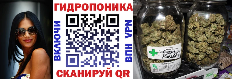 где продают   Хасавюрт  Шишки марихуана ГИДРОПОН 